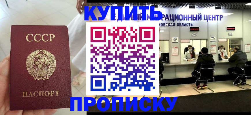 временная регистрация адрес в Щёлково