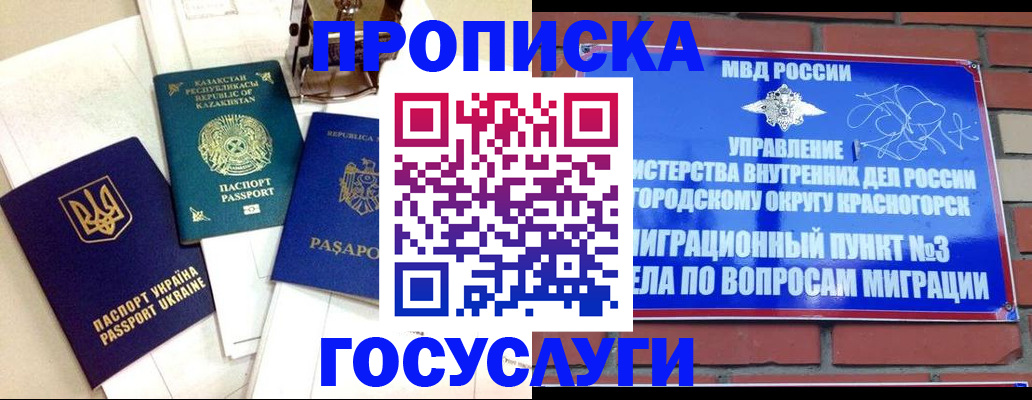 купить прописку в Щёлково